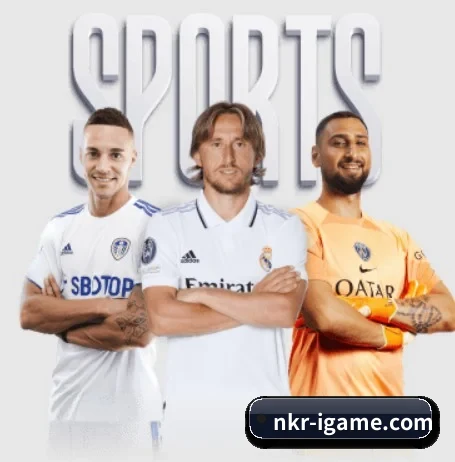 nkr-igame.com APP（ayx.com）